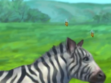 Неподражаемата зебра